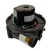 CARRIER/ICP  90+ DRAFT IN